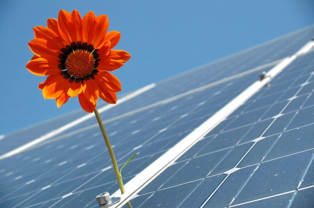 solar, photovoltaic, renewable-2955323.jpg